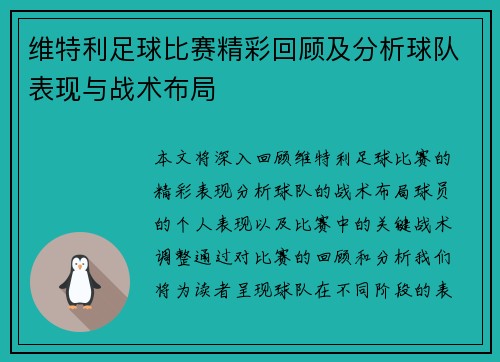 维特利足球比赛精彩回顾及分析球队表现与战术布局