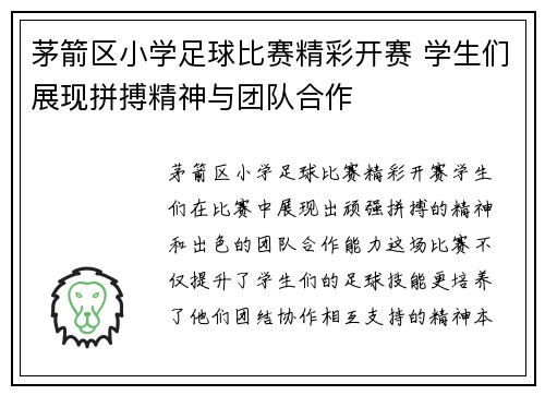 茅箭区小学足球比赛精彩开赛 学生们展现拼搏精神与团队合作