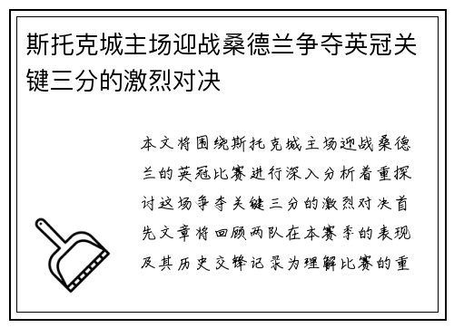 斯托克城主场迎战桑德兰争夺英冠关键三分的激烈对决