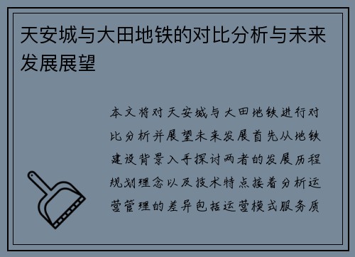 天安城与大田地铁的对比分析与未来发展展望